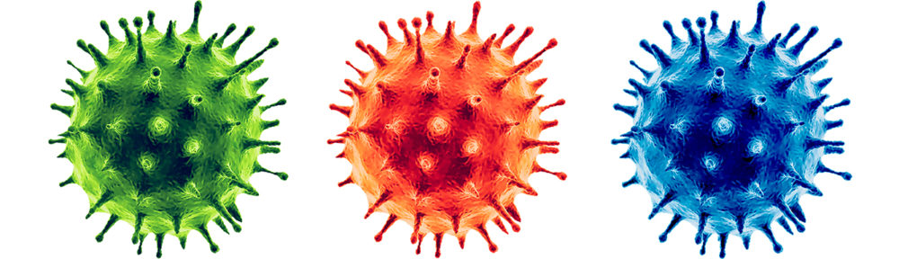 Das Coronavirus unter dem Mikroskop