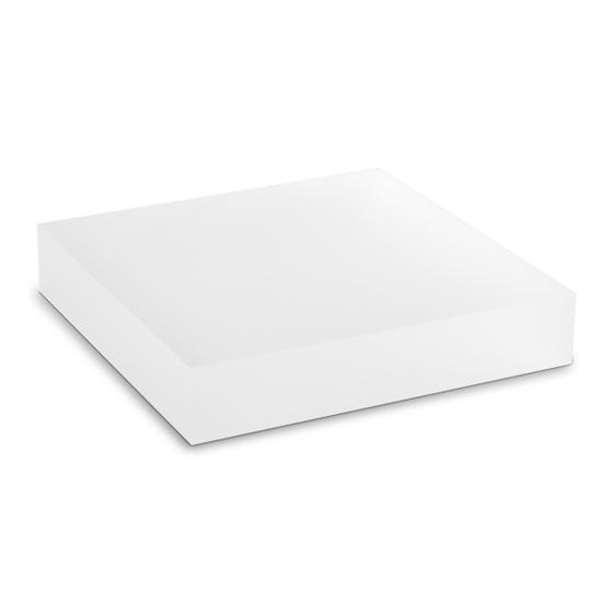 Acrylblock aus original PLEXIGLAS® / satiniert (100 x 100 x 20 mm)