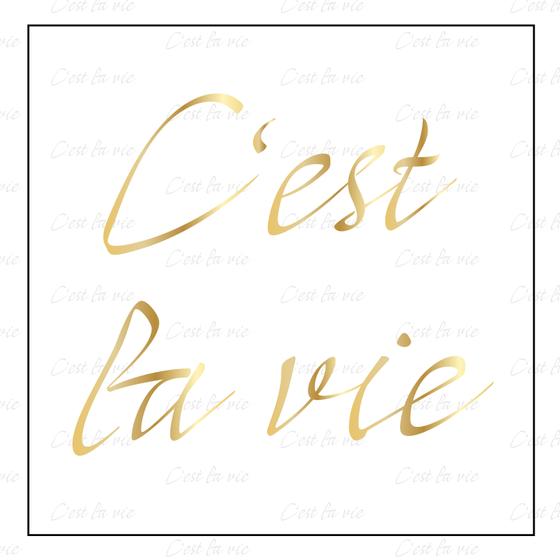 Fridge Magnet c'est la vie Whiteboard Magnet
