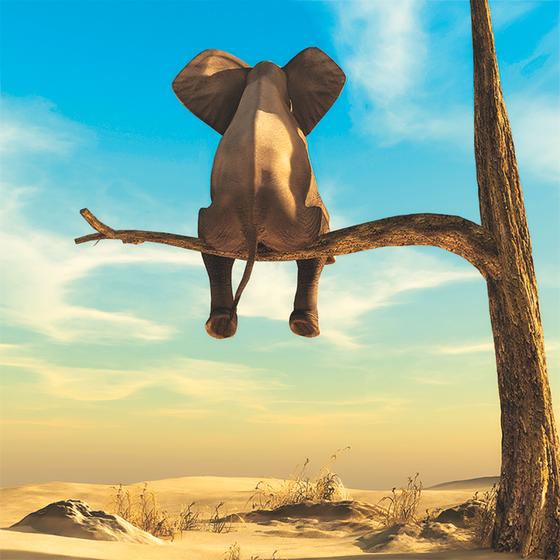 Fridge Magnet "Elephant I" - Wanderlust Magnets for Travel Junkies